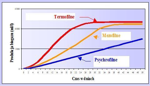 Rys. 1. Wpływ temperatury na wydajność procesu fermentacji Źródło: Grzybek A., 2005: Ocena Strategii rozwoju energetyki odnawialnej oraz kierunki rozwoju energetycznego wykorzystania biogazu wraz z propozycją działań. Ekspertyza. NFOŚ, Warszawa.
